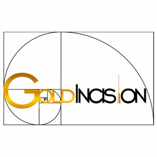 logotipo dourado e preto escrito escrito goldincision com agulha de ouro no lugar do i e espiral de fibonacci atrás