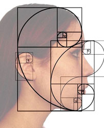 perfil de rosto feminino com aplicação da espiral de fibonacci para representar as proporções faciais